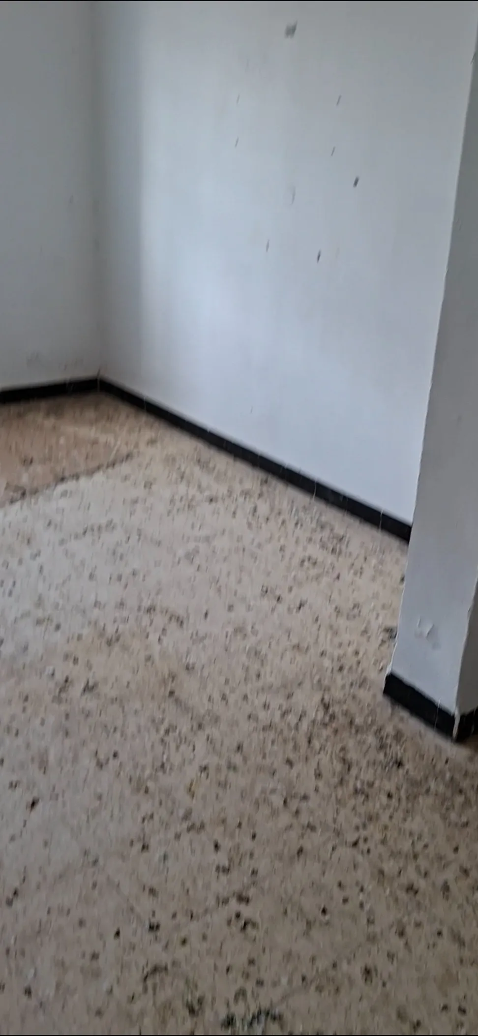 برتمان للبيع