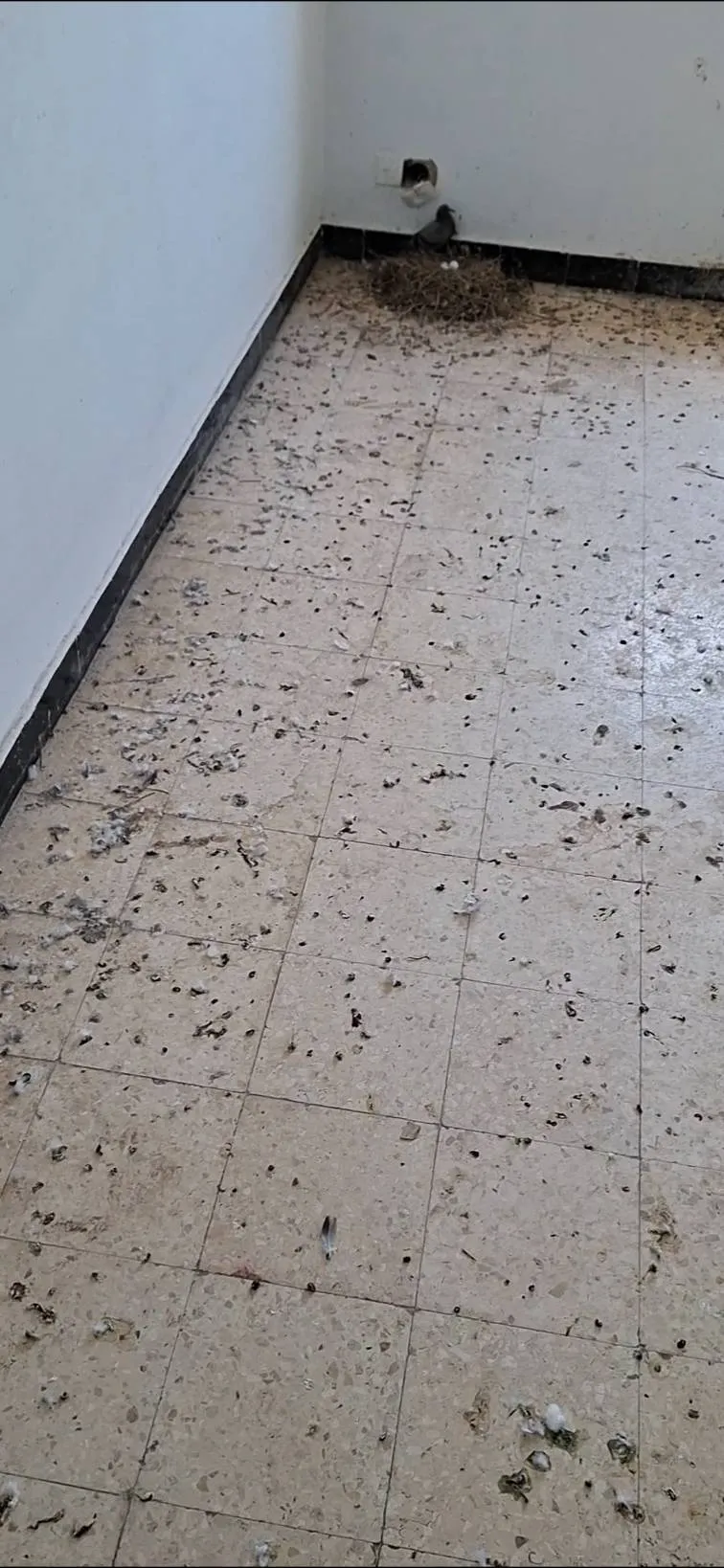 برتمان للبيع