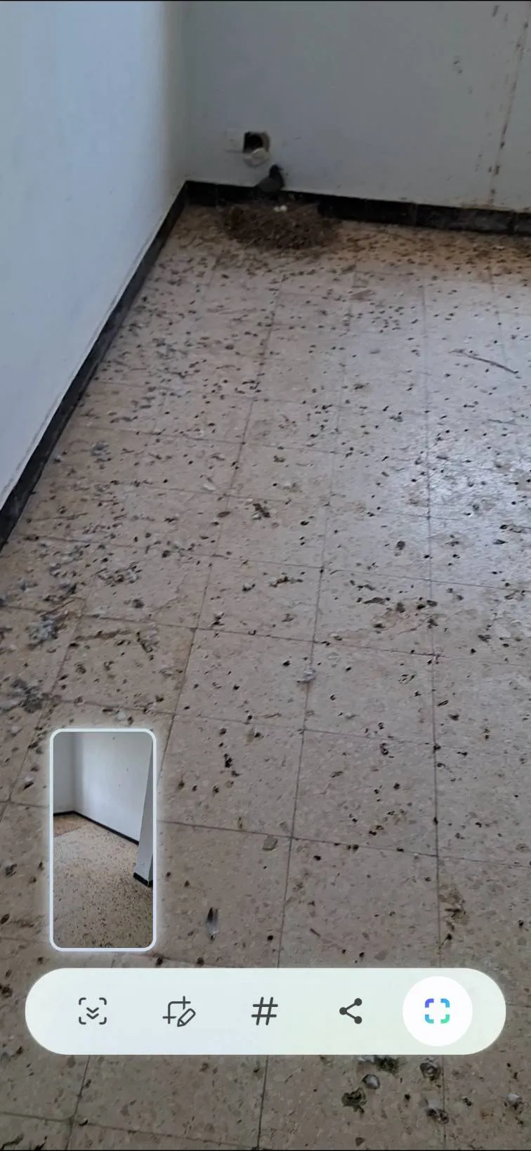 برتمان للبيع