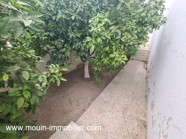 VILLA KMAR Nabeul AV1945