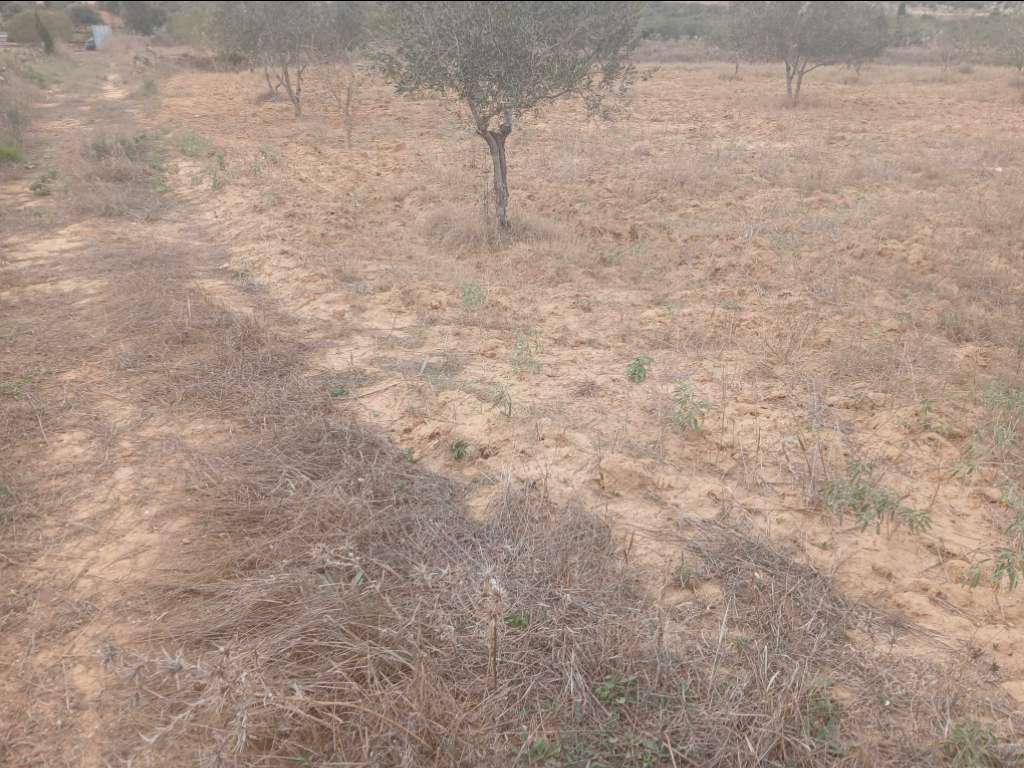 A vendre terrain superficie 3650 m² situé  a kalla kbira sur l'autoroute Premier Position