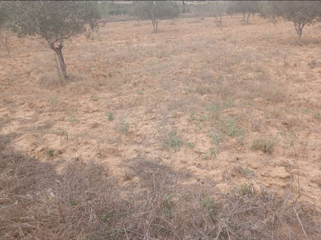 A vendre terrain superficie 3650 m² situé  a kalla kbira sur l'autoroute Premier Position