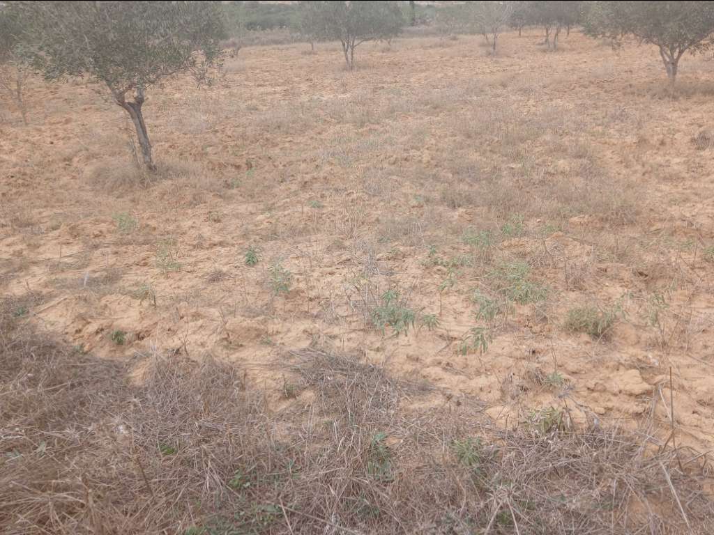 A vendre terrain superficie 3650 m² situé  a kalla kbira sur l'autoroute Premier Position