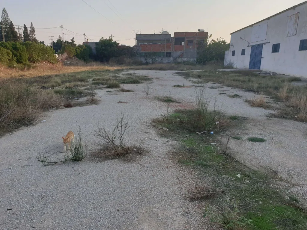  dépôt 5 000 m² dont 1 200 m² couverts avec 5 bureaux à Naassen – Emplacement stratégique sur route Khlidia