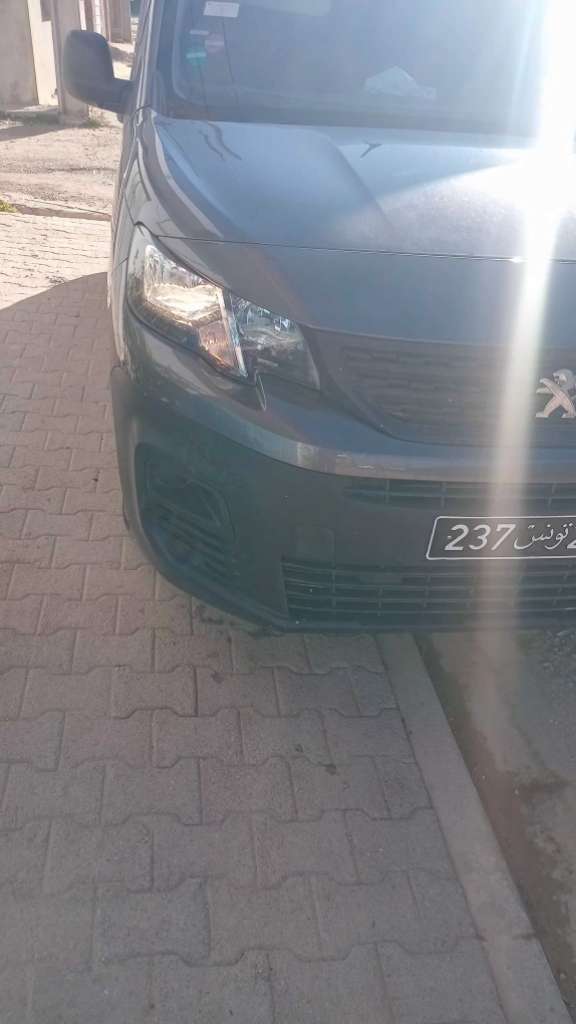 Peugeot partner k9