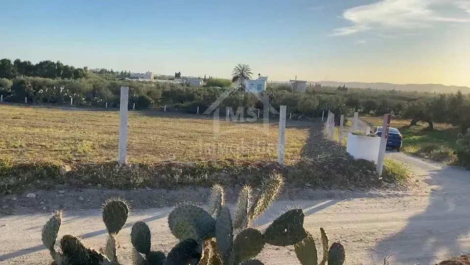 Un terrain vue de mer à vendre à Béni Khiar 51355351