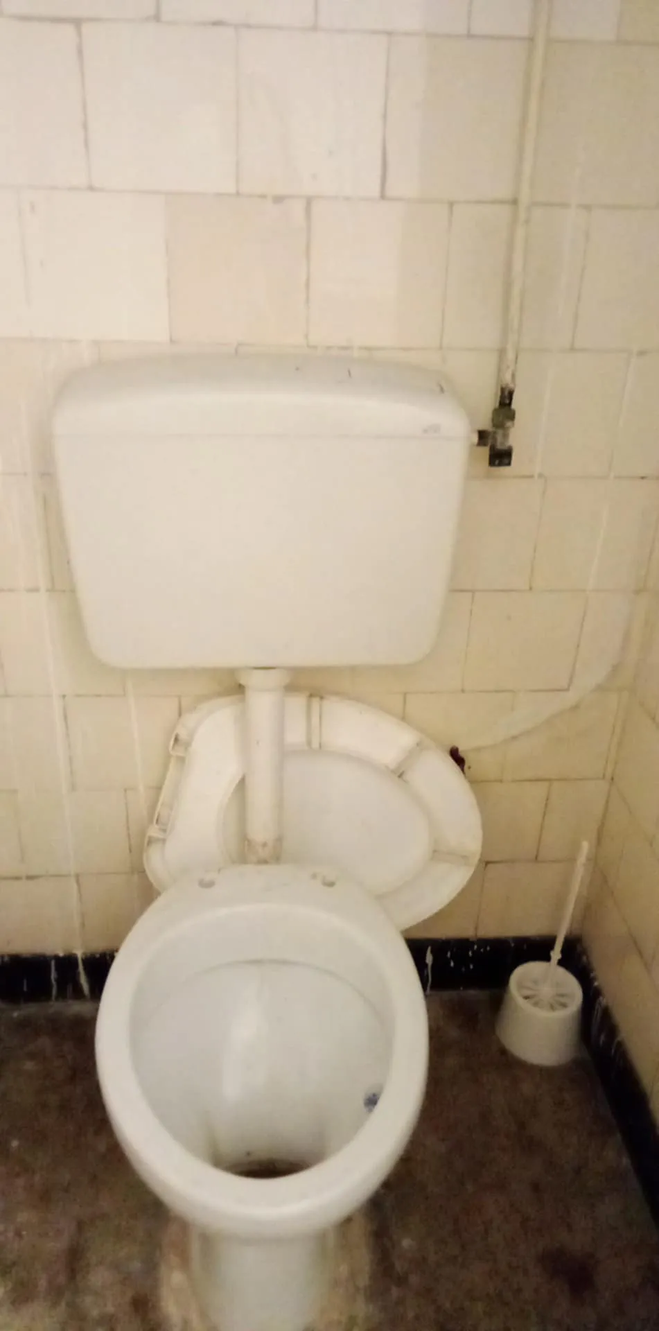 UN APPARTEMENT S+1 AU RC