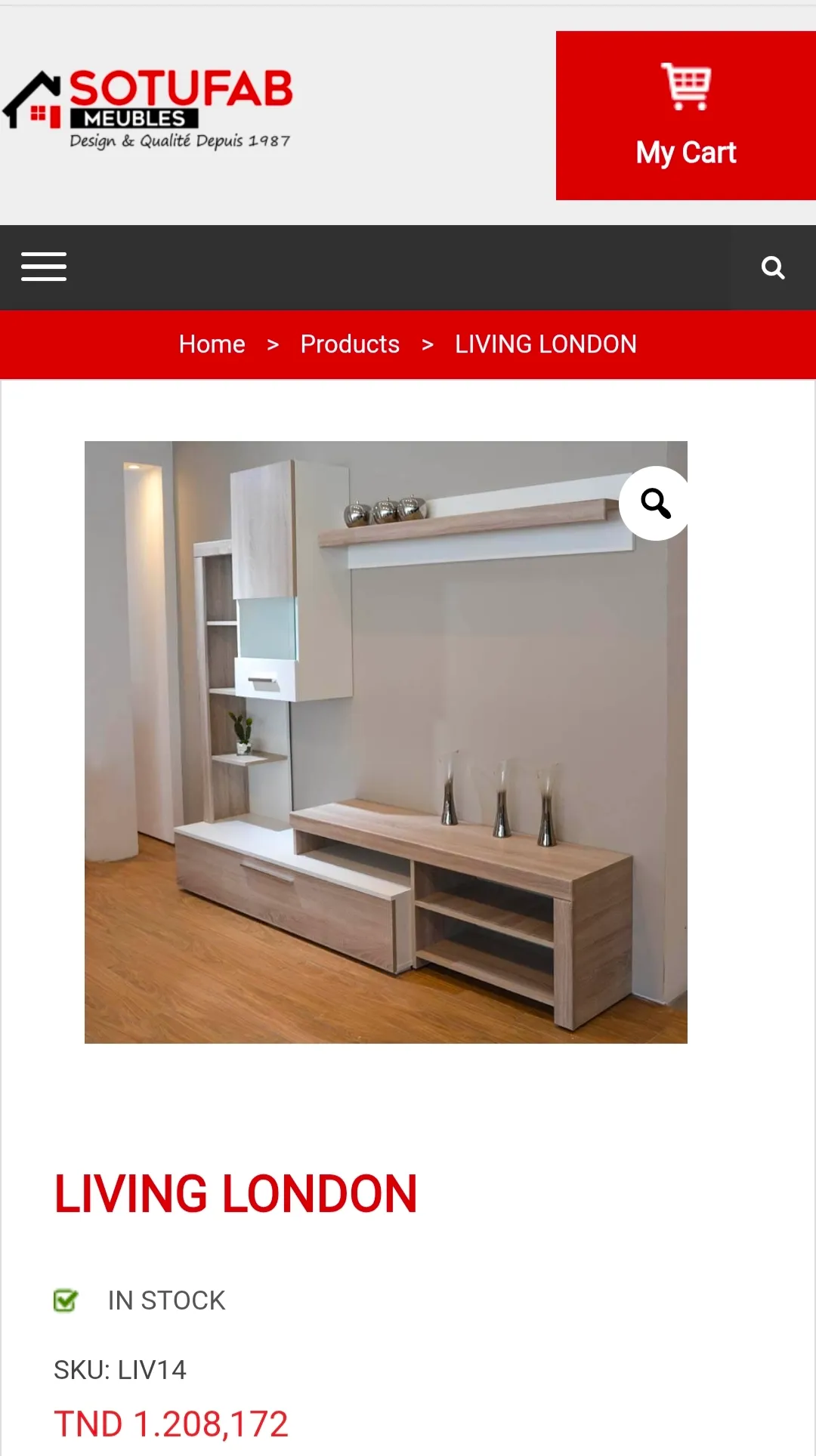 𝗟𝗶𝘃𝗶𝗻𝗴 𝗧𝘃