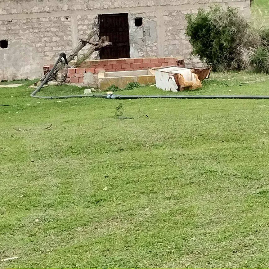 terrain agricole près de la mer