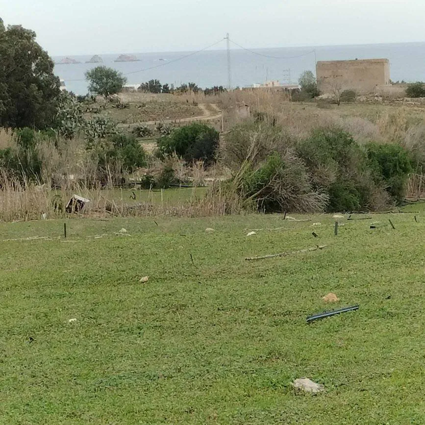 terrain agricole près de la mer