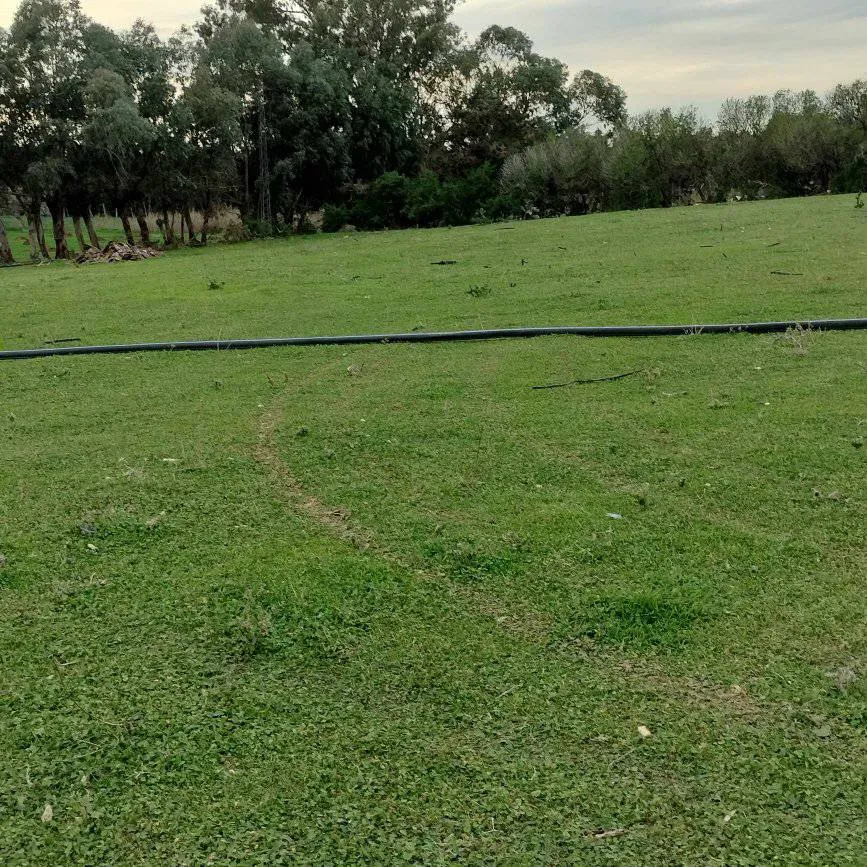 terrain agricole près de la mer