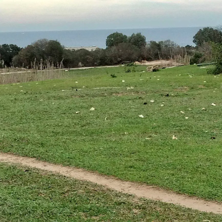terrain agricole près de la mer