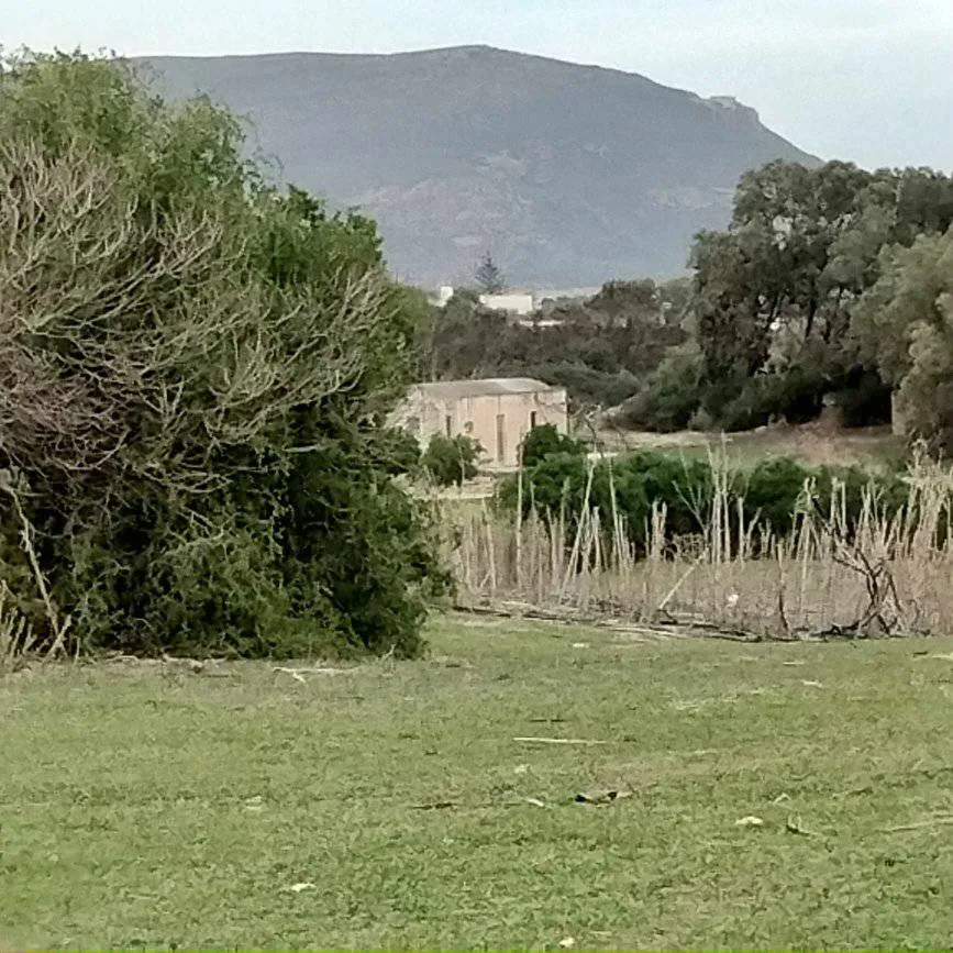 terrain agricole près de la mer