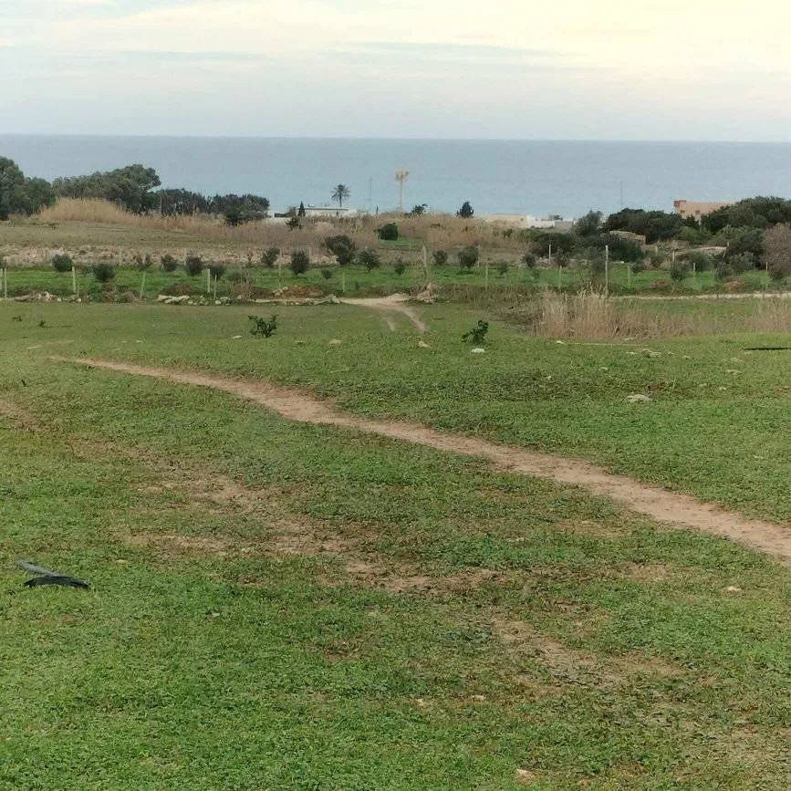 terrain agricole près de la mer