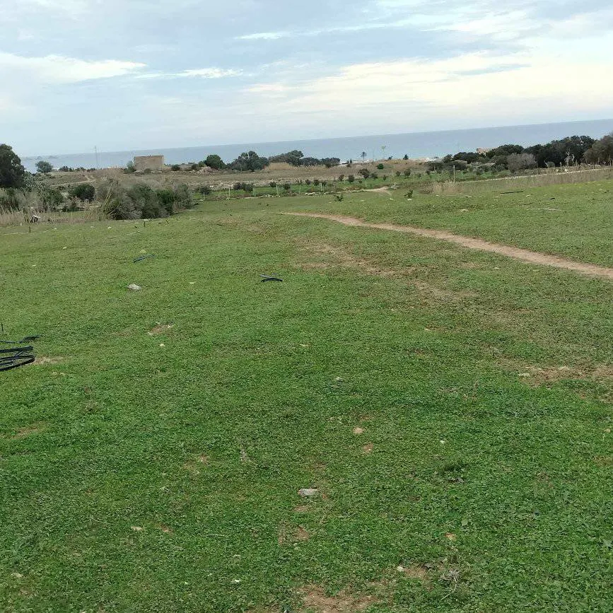 terrain agricole près de la mer