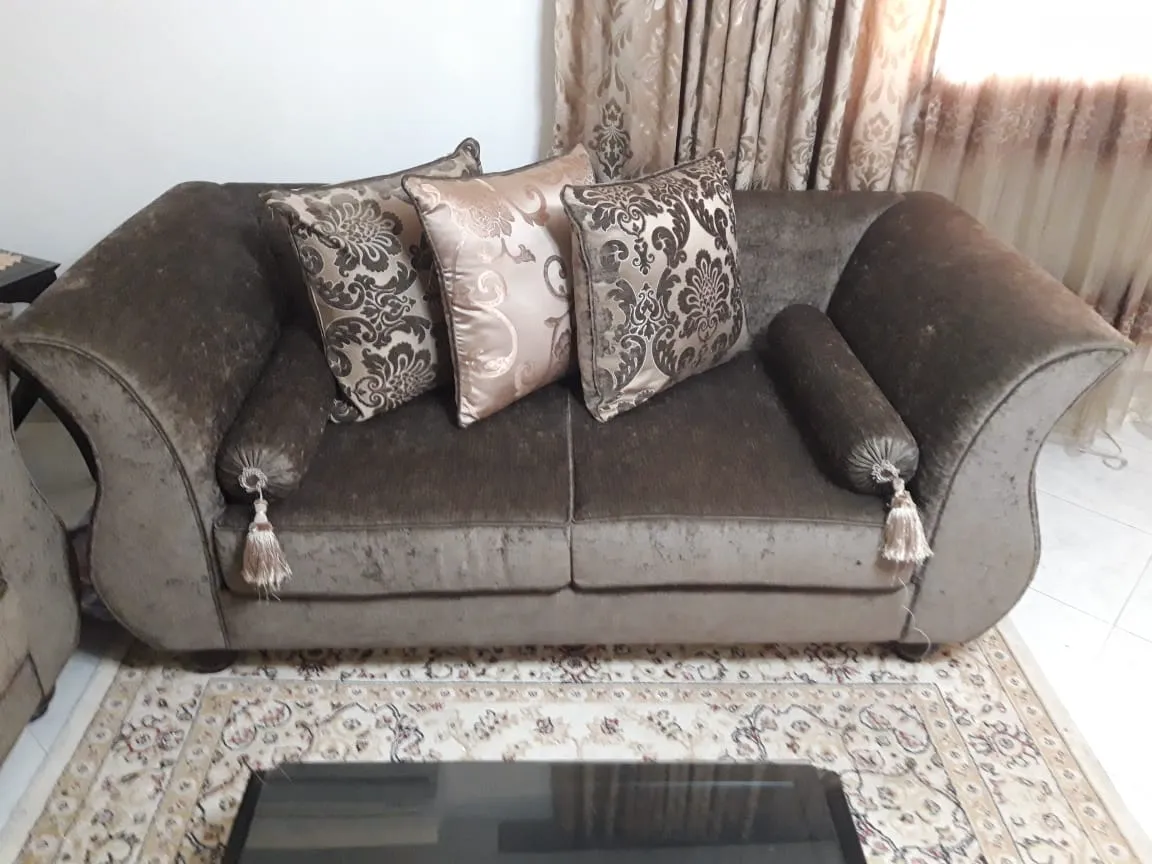 Salon chic presque neuf + table basse OFFERTE