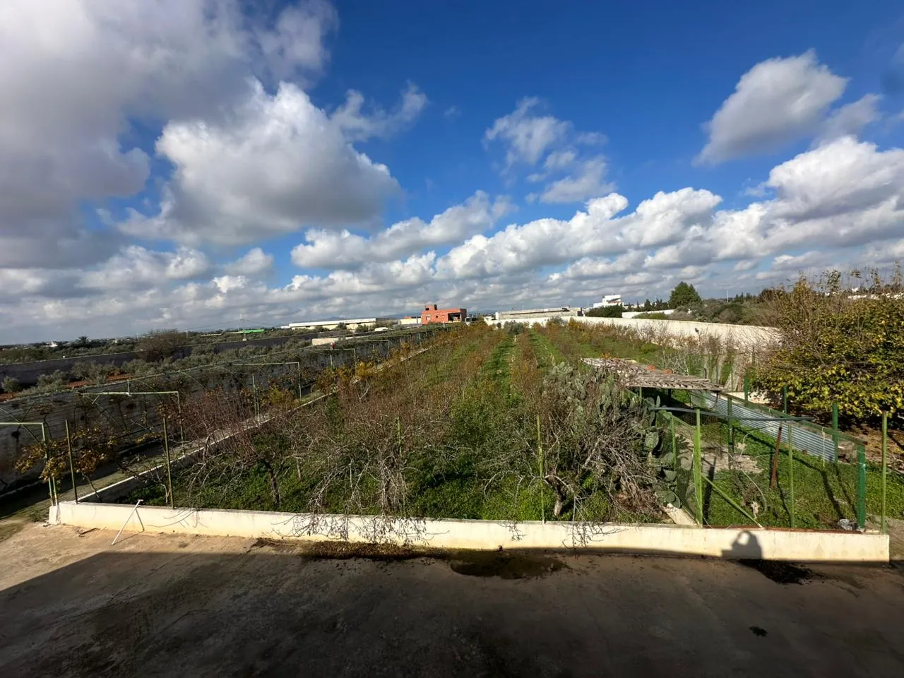 فيرمة للبيع في منزل تميم على الكياس الرئيسي