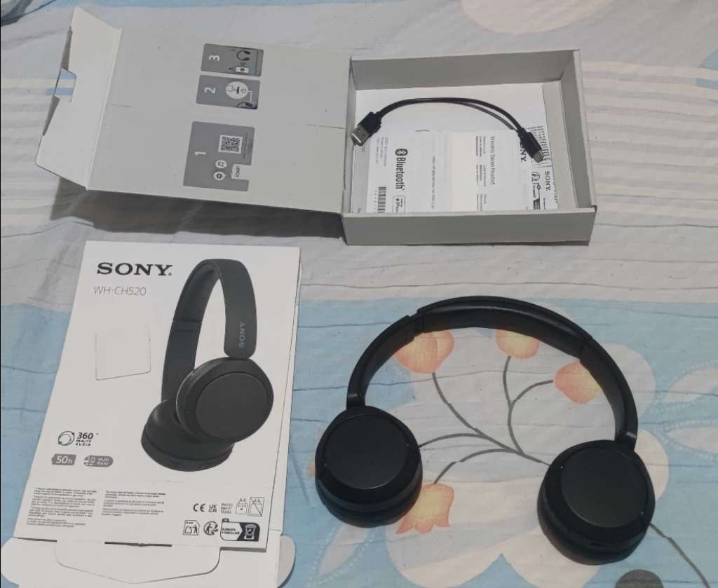 sony wh-ch520
