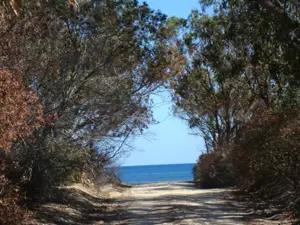 Un terrain a ezzahra kelibia a partir de 1000 m