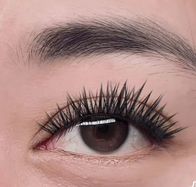 Cils a cils