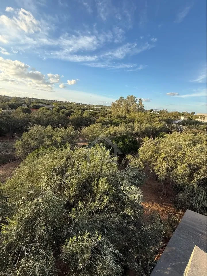 Terrain de 500 m² à daroufaa à vendre 51355351