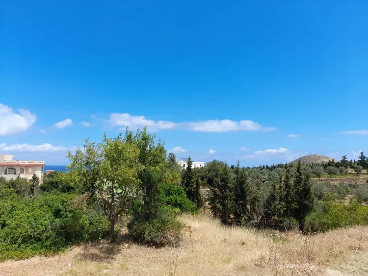 Terrain a raf raf 9300m²