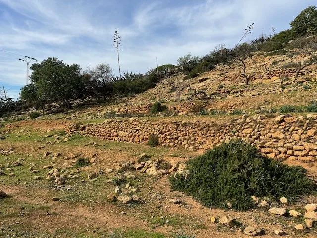 Vue imprenable sur la lagune de ghar el meleh