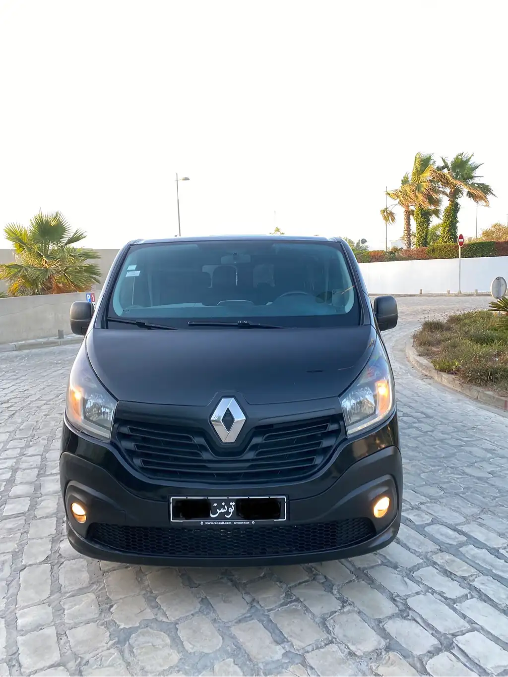 Renault Trafic 3 9 places