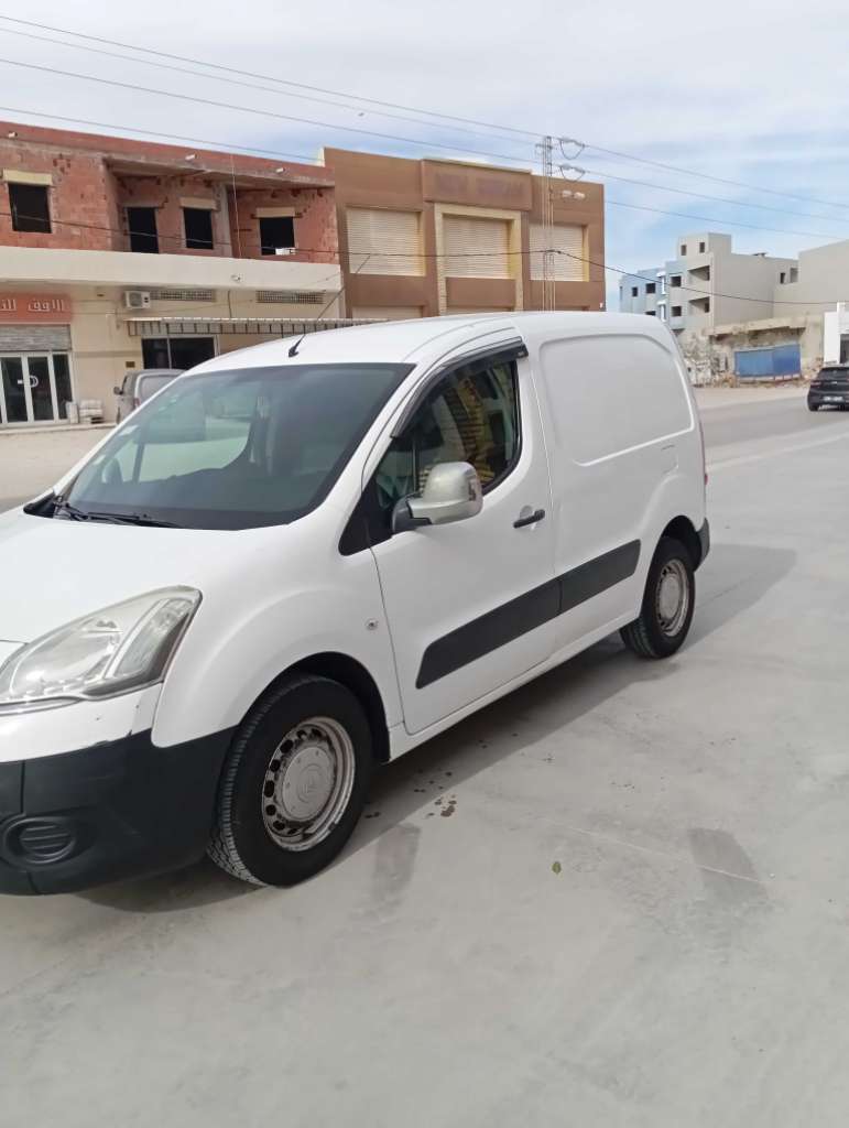 Citroen berlingo