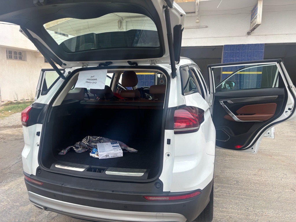 Geely Ankara 2021 full option 