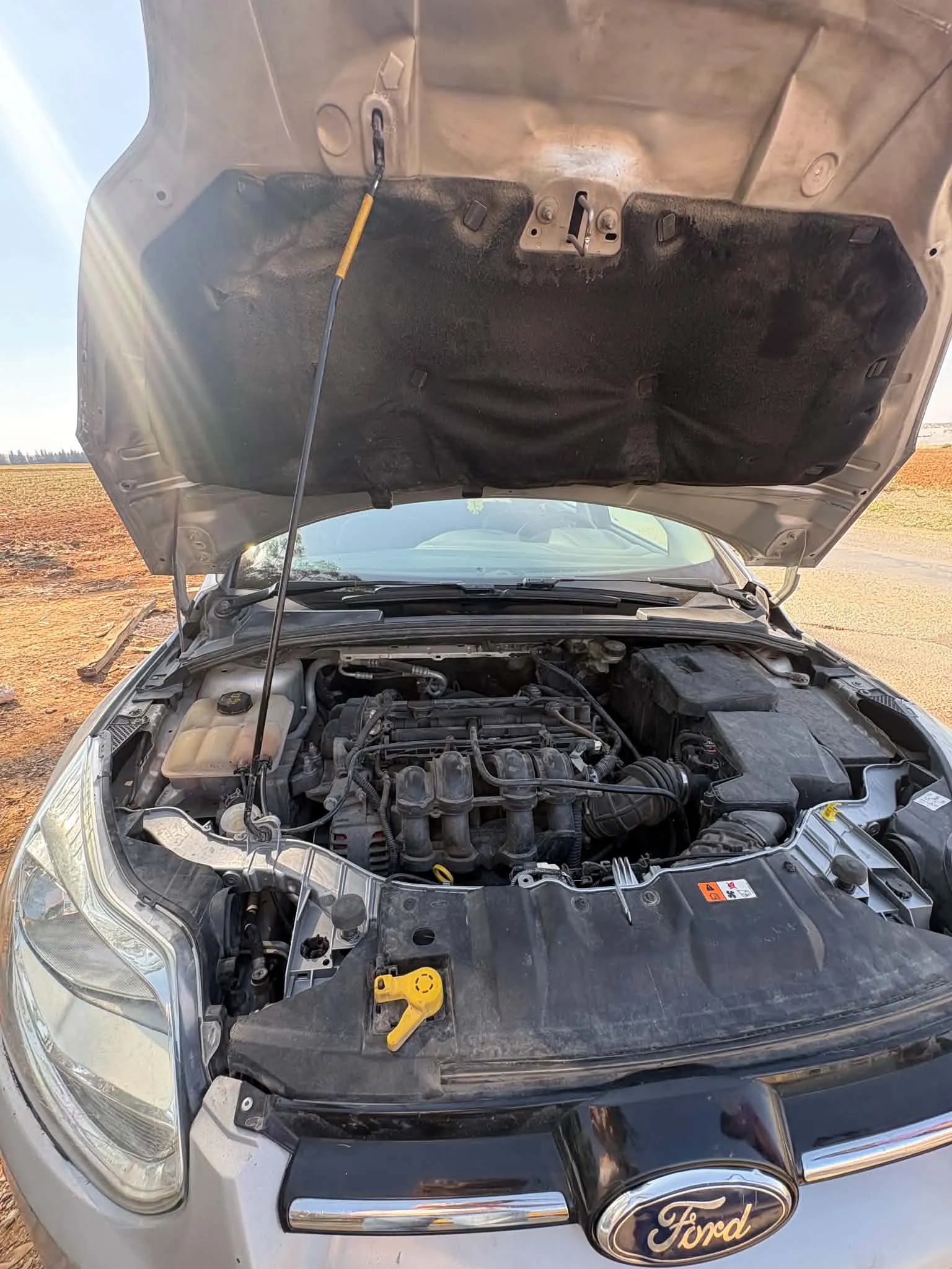 Ford focus sedan