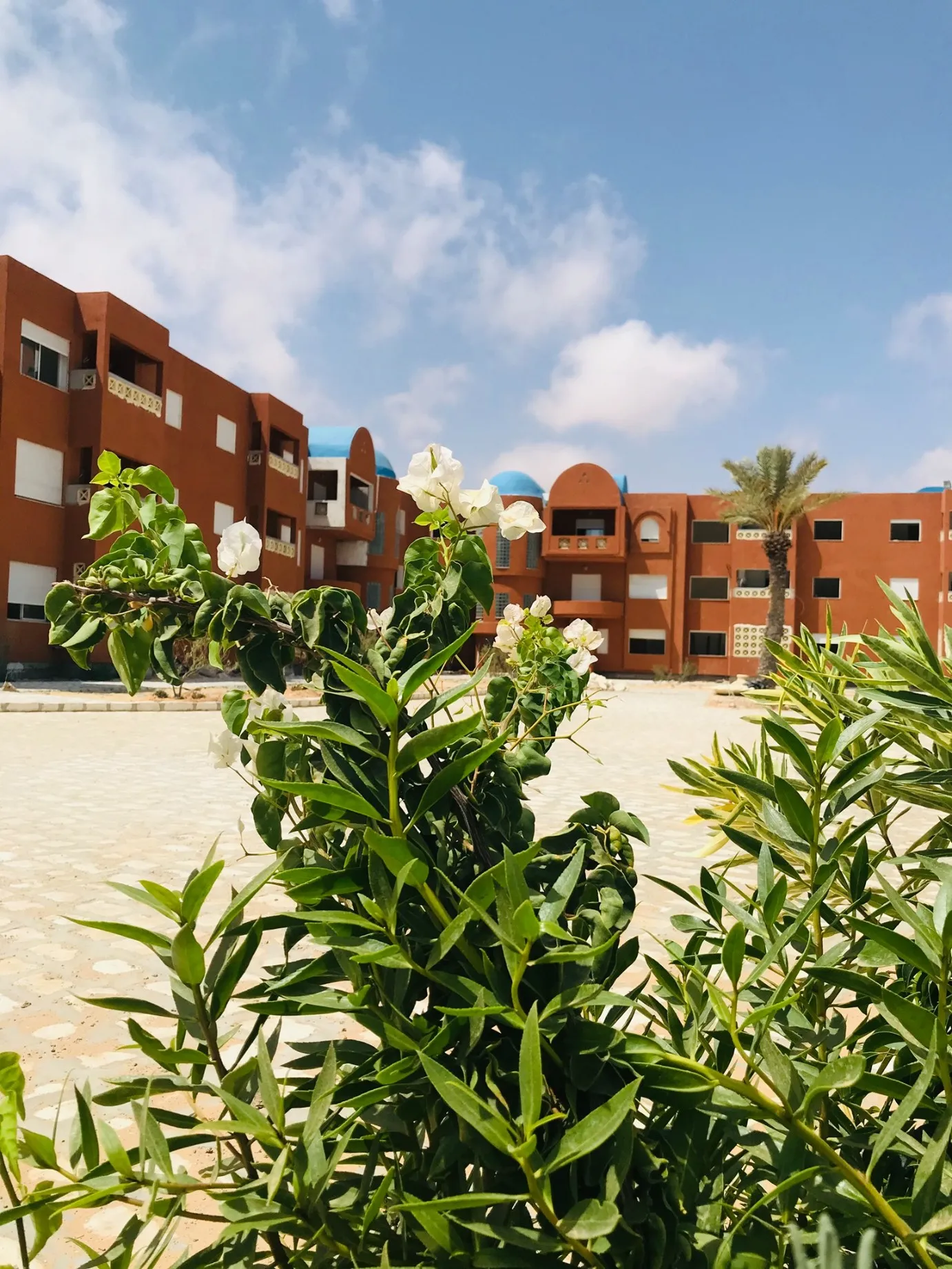 DES APPARTEMENTS ET VILLAS A VENDRE