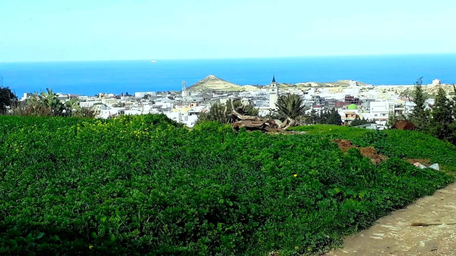 🏔️ Terrain 800 m2 a Rafraf 🌳