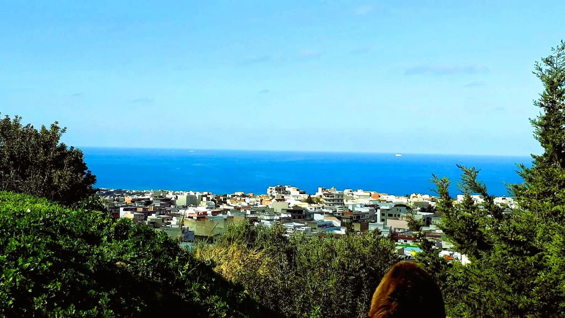 🏔️ Terrain 800 m2 a Rafraf 🌳