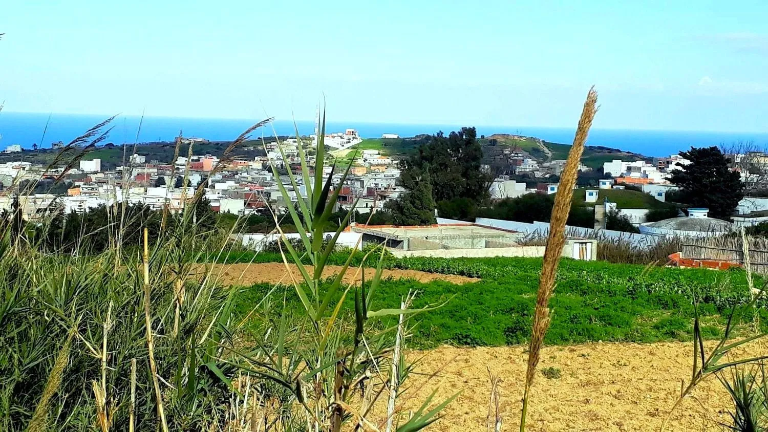 🏔️ Terrain 800 m2 a Rafraf 🌳