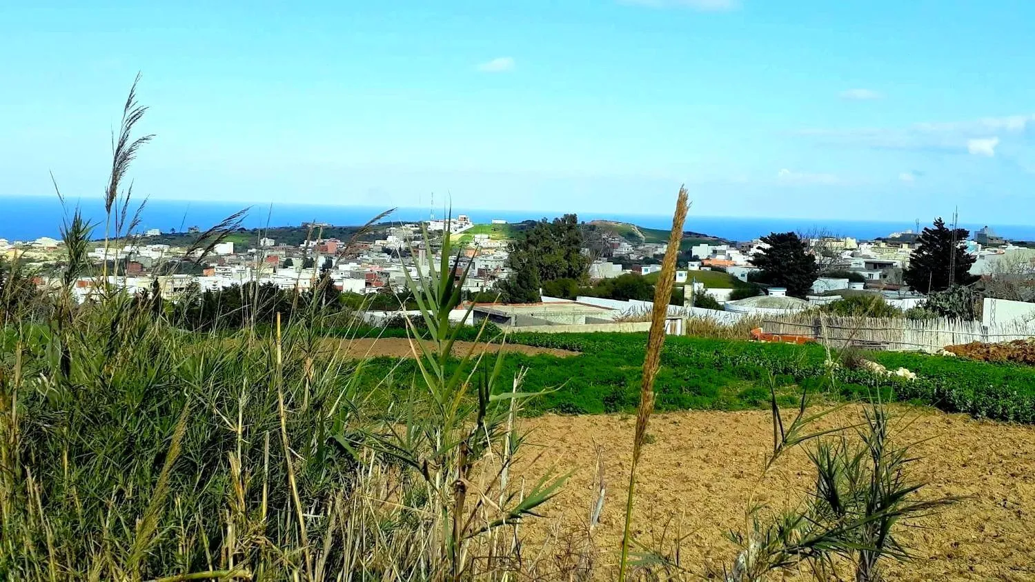 🏔️ Terrain 800 m2 a Rafraf 🌳