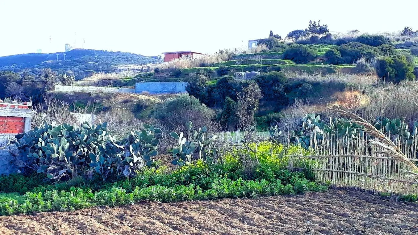 🏔️ Terrain 800 m2 a Rafraf 🌳