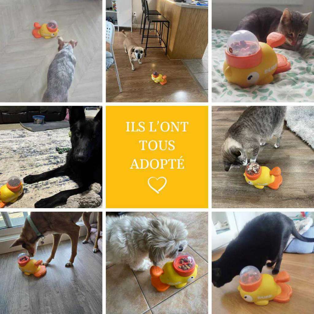 SmartDuck - Distributeur de friandises interactif