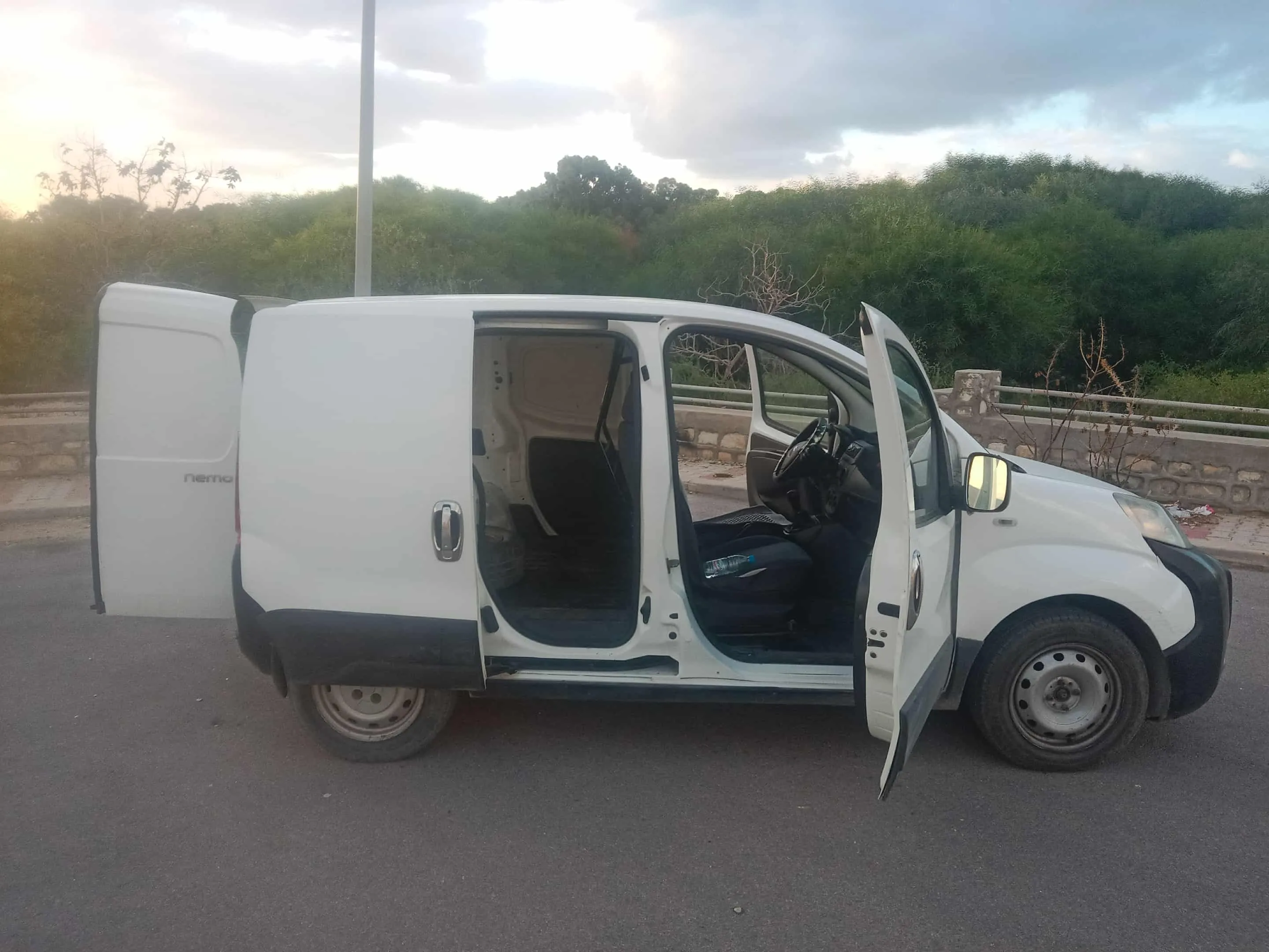citroen nemo