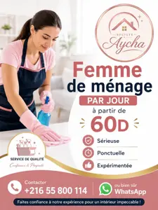 Femme de ménage par jour