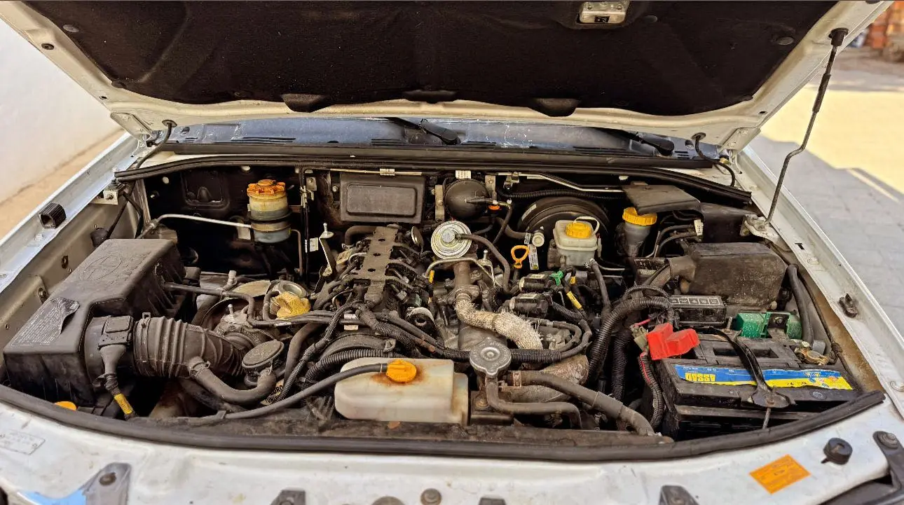 Tata xenon
