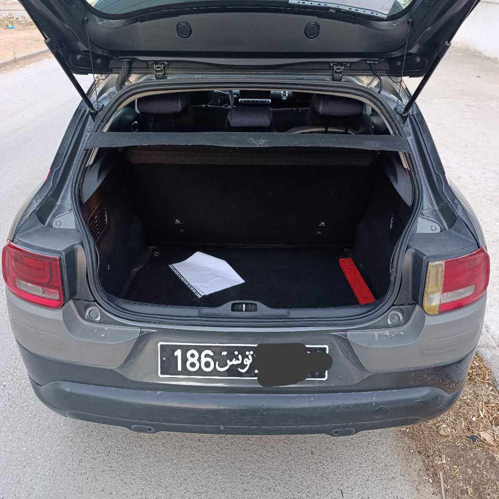 Citroen Cactus C4 