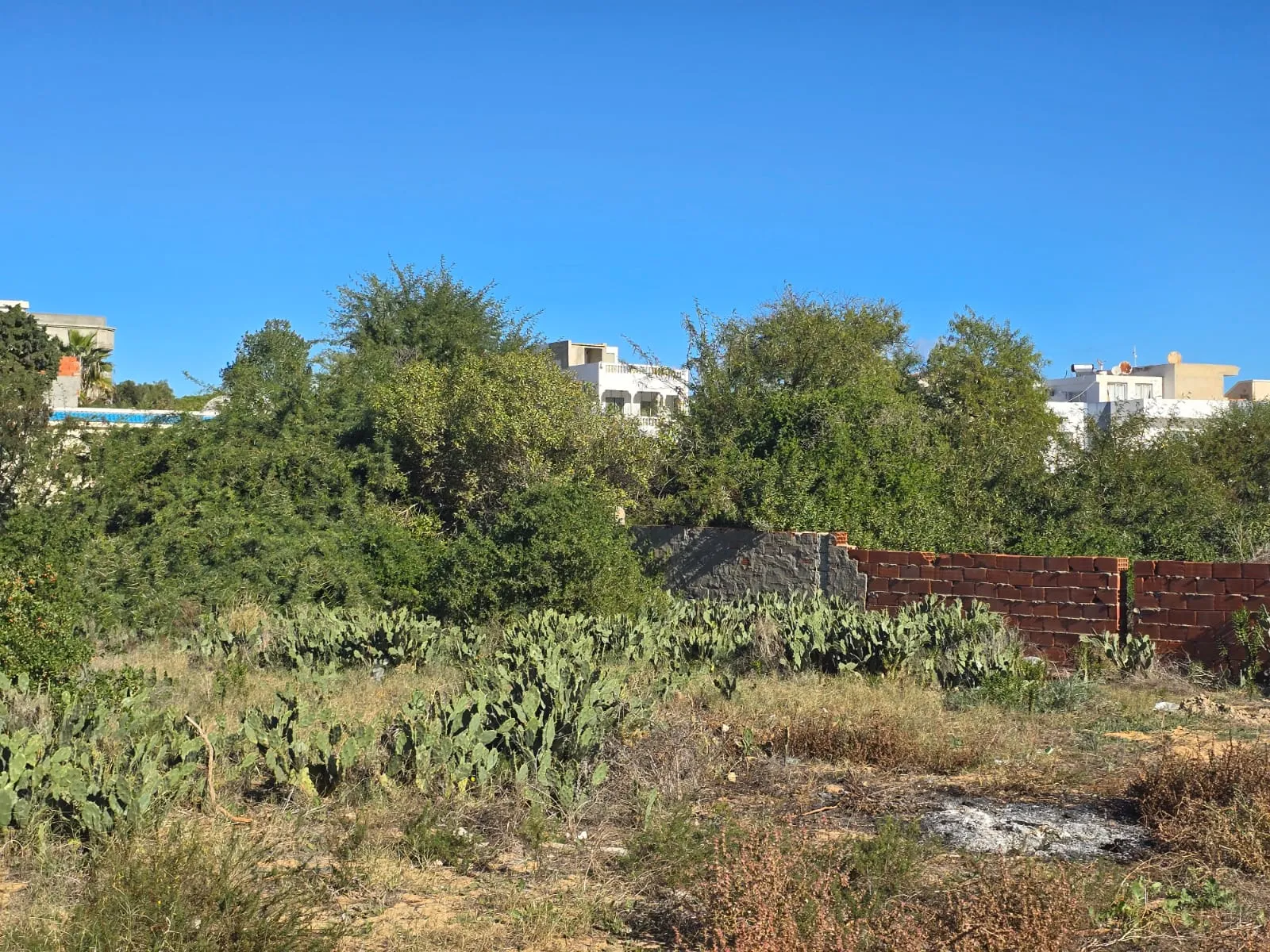 Terrain Constructible Avec Vue Mer | Soviva, Chott Mariem