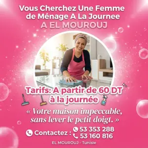 femme de menage par jour a ben arous el mourouj