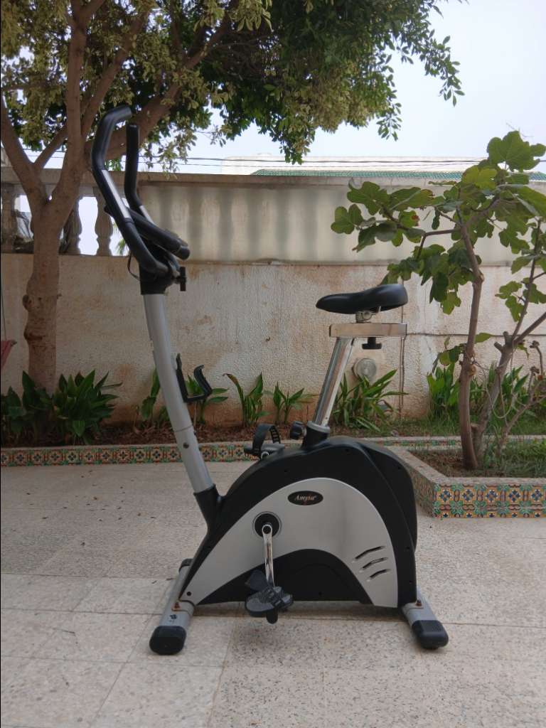 Vélo de sport programmable 