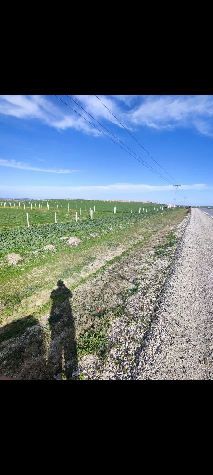 الفجة terrain unique 