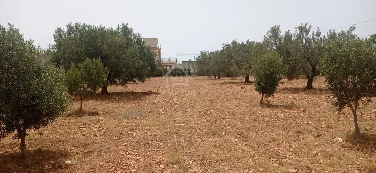 Terrain de 4800 m² à Sidi Mtir à vendre à 270 MD 51355351