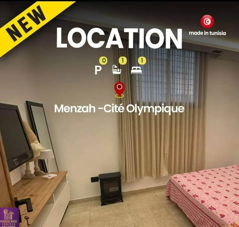 S+1 Meublé cité olympique