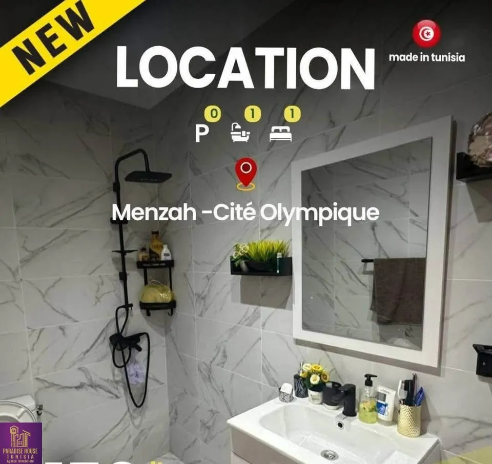 S+1 Meublé cité olympique