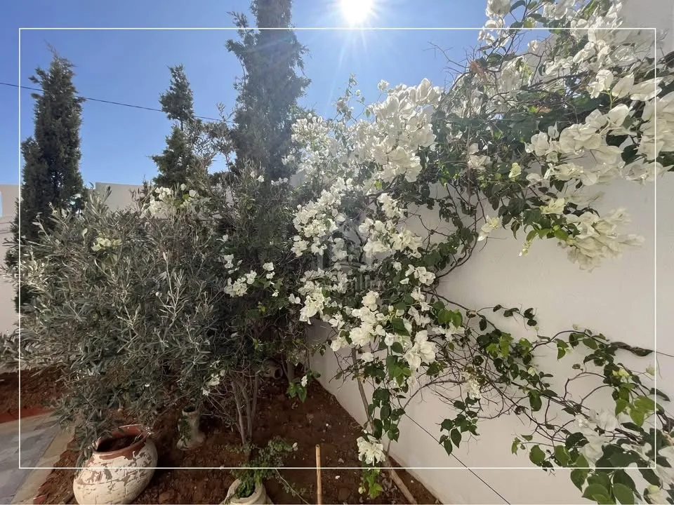 Belle villa avec jardin à Hammamet Sud à vendre 51355351